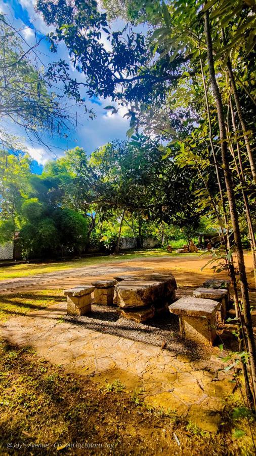 Hotel Jay'S Avenue Udawalawe Exteriér fotografie