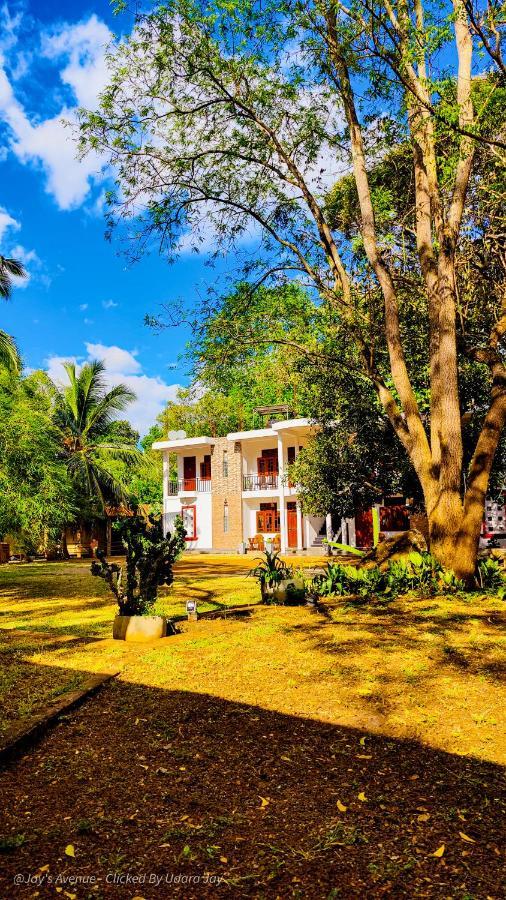 Hotel Jay'S Avenue Udawalawe Exteriér fotografie