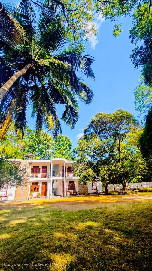 Hotel Jay'S Avenue Udawalawe Exteriér fotografie