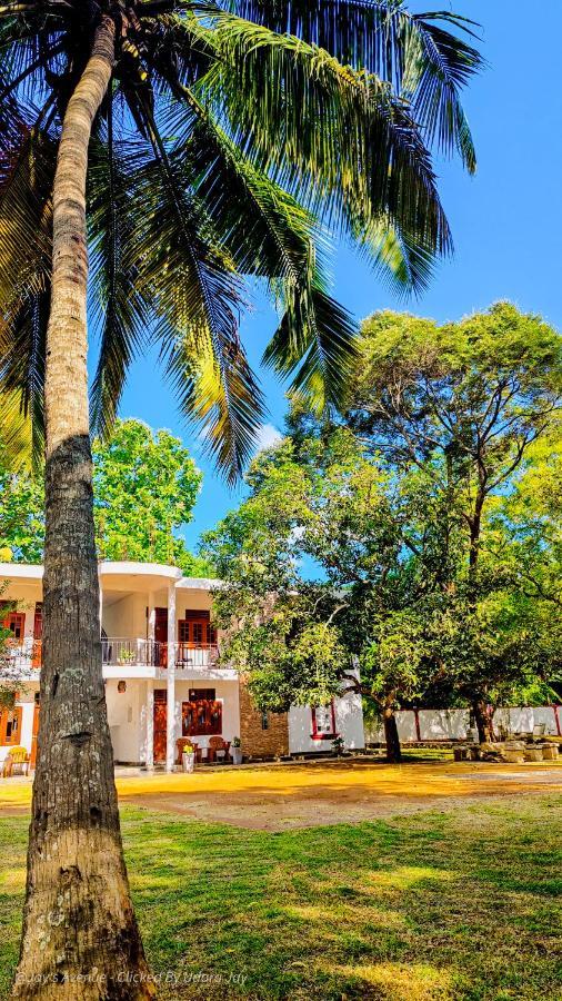 Hotel Jay'S Avenue Udawalawe Exteriér fotografie